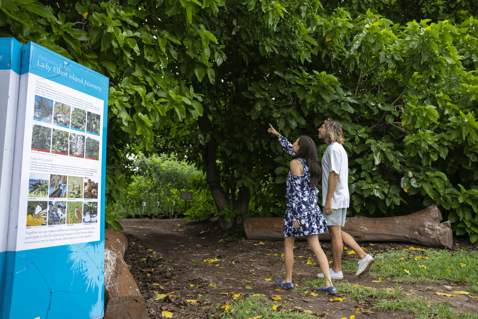 Hervey Bay and Bundaberg Locals Only Day Trip Offer
