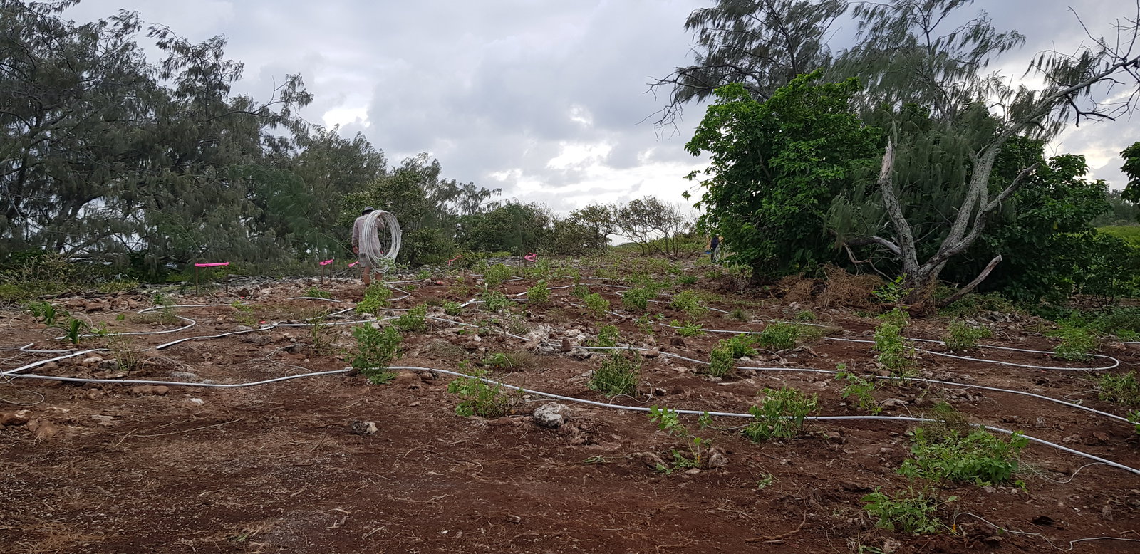 North West Zone irrigation setup