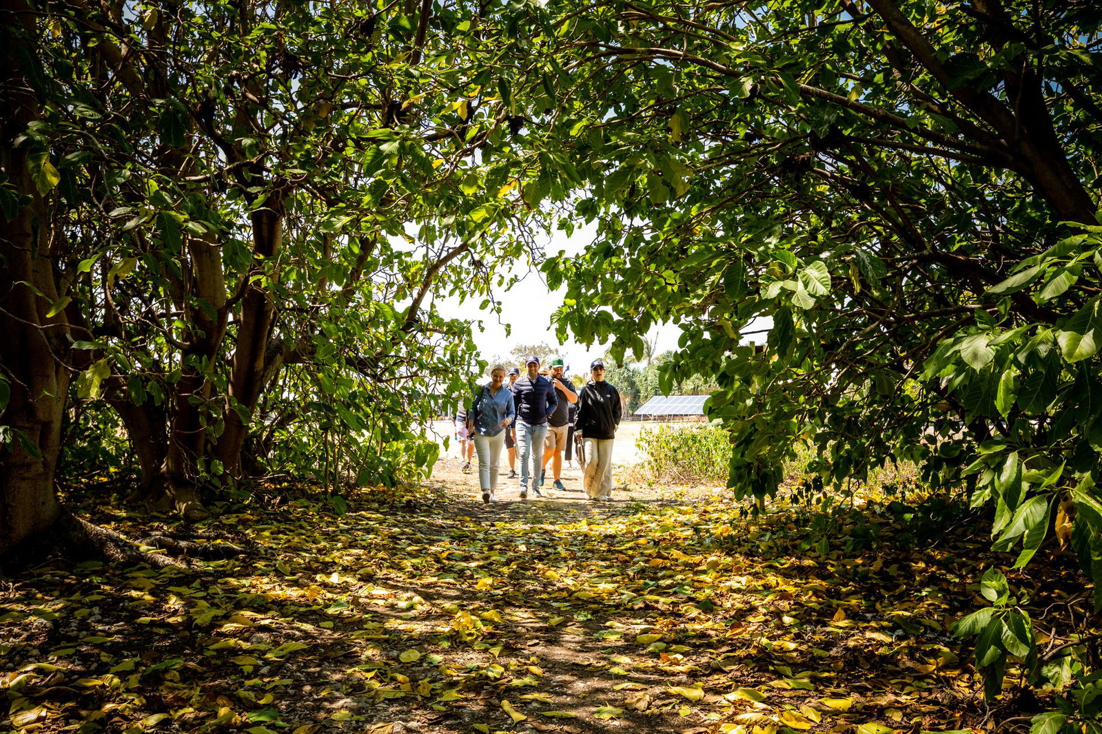 Lady Elliot Island Nursery Tour