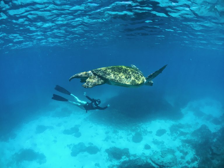 Amy Gash with turtle