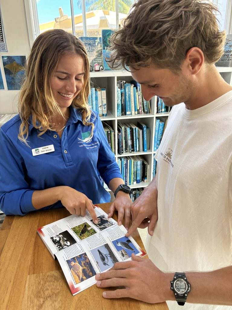 A Field Guide to the Vertebrates of Lady Elliot Island, Great Barrier Reef